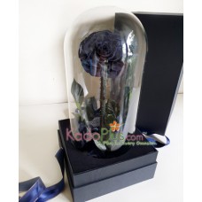 Everlasting Black Rose Premium